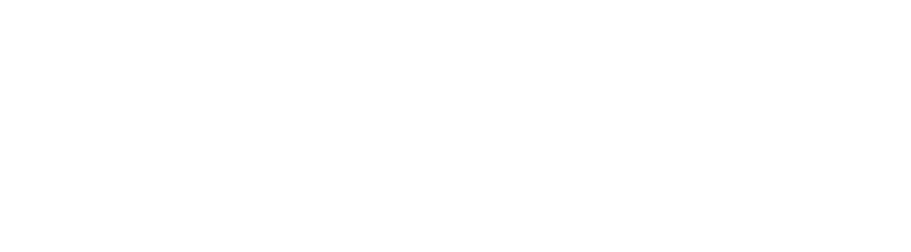 client_illesteva_logo